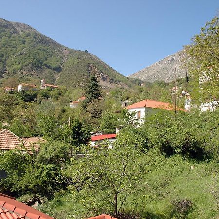 To Greki Hotel Livartzi Exterior photo